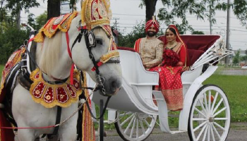 Wedding Baggi Planners